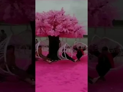 Scenic Campground Cherry Blossom Tree Swing Sem energia multi-jogador Swing giratório