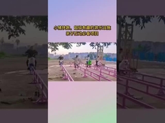 Área Cênica Equipamento de diversão sem energia, Internet Celebrity Little Pig Run Parque de diversões Childr